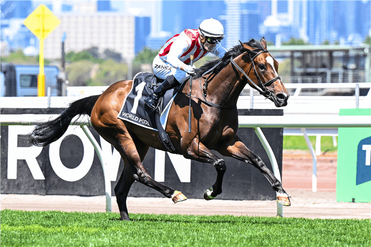 Australasian Oaks 2026: Salty Pearl at $4.80 Beats Getta Good Feeling on Form